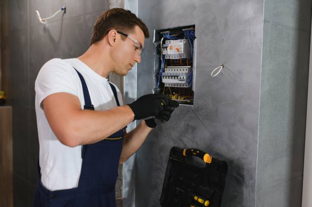 Best Electric Panel Repair  in Munising, MI